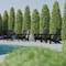 Flash Furniture Black Adirondack Patio Chairs with Cupholder, 4PK 4-LE-HMP-1045-10-BK-GG - alternate 1